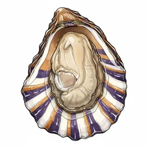 Carlsbad Blonde oyster illustration