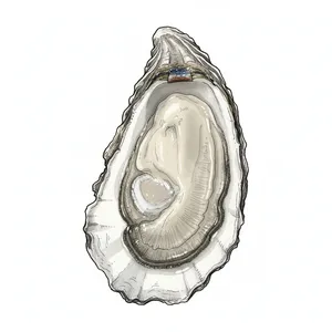 Gooseberry Bay oyster illustration