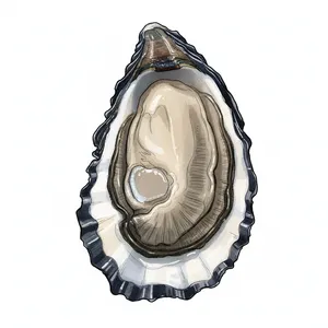 Indigo oyster illustration