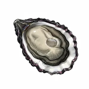 Marina's Top Drawer oyster illustration