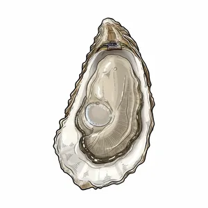 Ned's Island oyster illustration