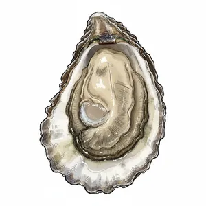 Oysterville Select oyster illustration