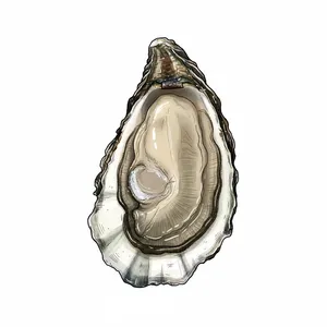 Salt Pond Select oyster illustration